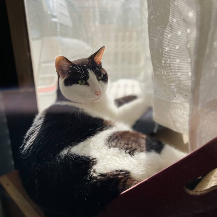 F47c58ba f69b 4d66 9e73 559c38212767 1635044077370