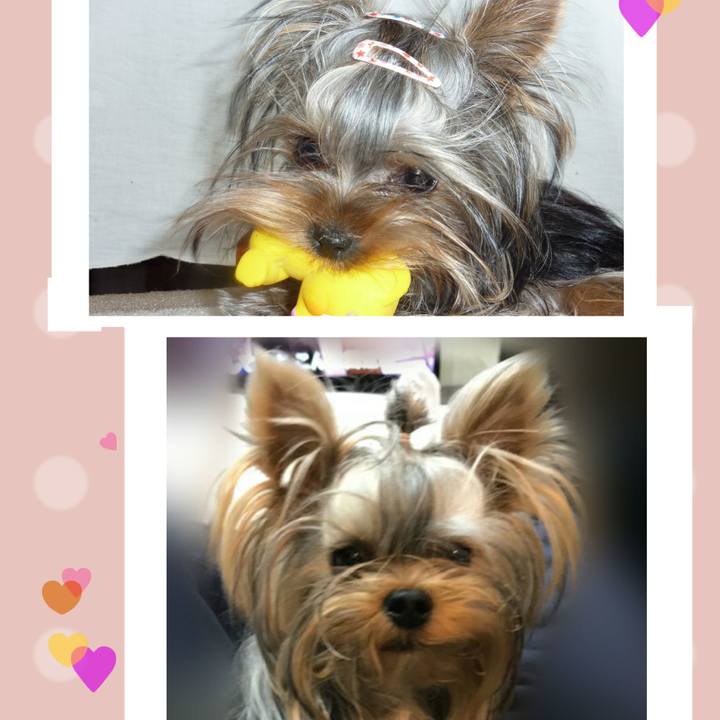 F47c7fb9 b967 484d b8bf 975edd1b1f04 1607391816063