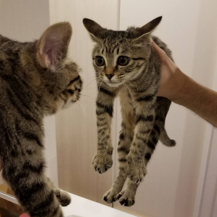 F47c8386 5bc7 4ad3 8ffa e8c651f300f5 1538206120892