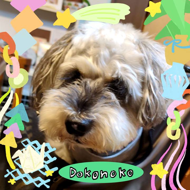 F47cbc35 016b 4a54 9c22 b1fe171edaf9 1755093114230