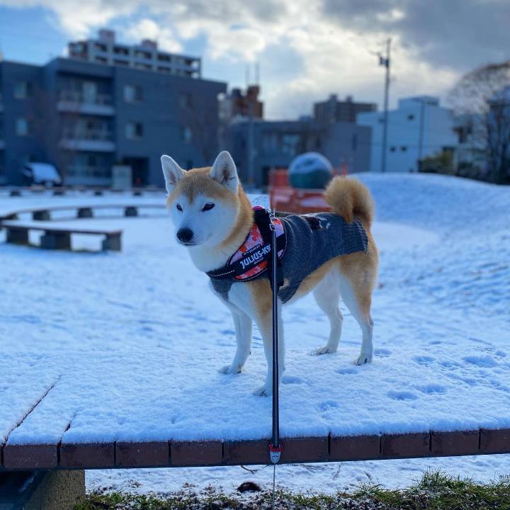 F47ccd57 1797 4fc4 bead 660fd237be91 1701251626434