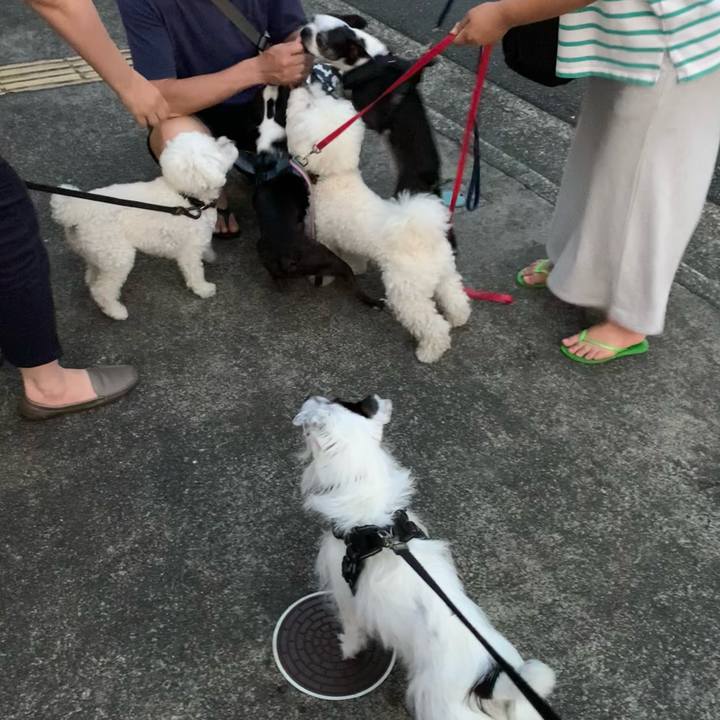 F47cd5c3 2902 4b6a 9b63 80cf6da03164 1751023766811