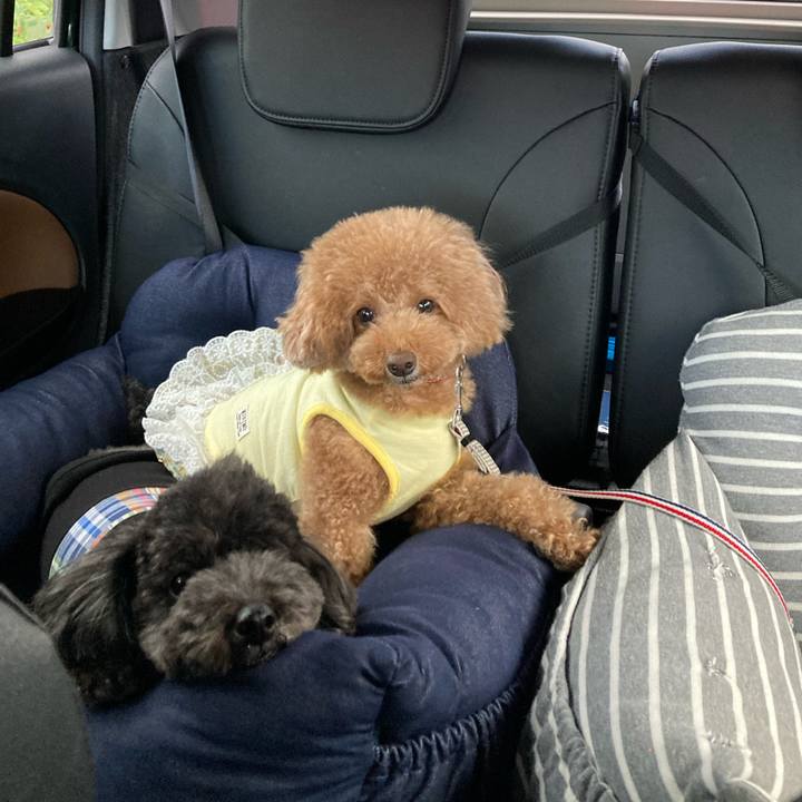 F47d087b 8cb9 40c1 9aab 172dd2ec9064 1635471915325