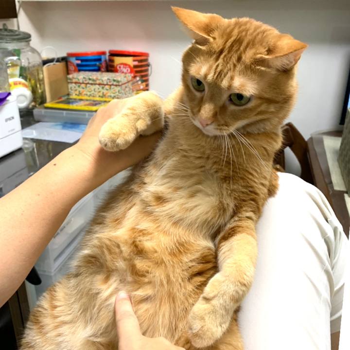 F47d18c3 67b0 4b97 a6cb a098f43c51dd 1565959208773