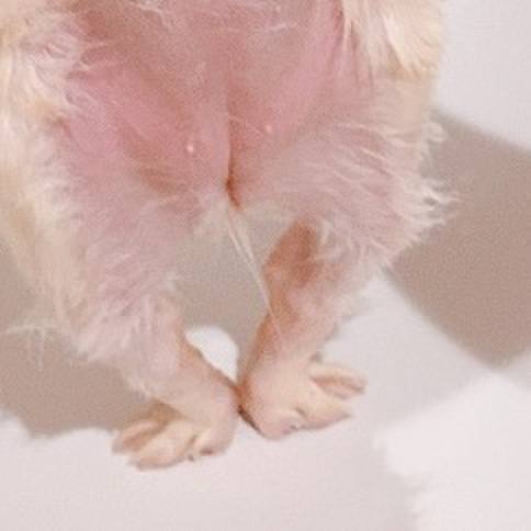 F47d2472 c098 48a2 bd7f 7c558e334582 1623672977588