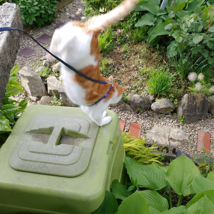 F47d4f11 1791 4370 b6e6 6b6b1e98a019 1527686957170