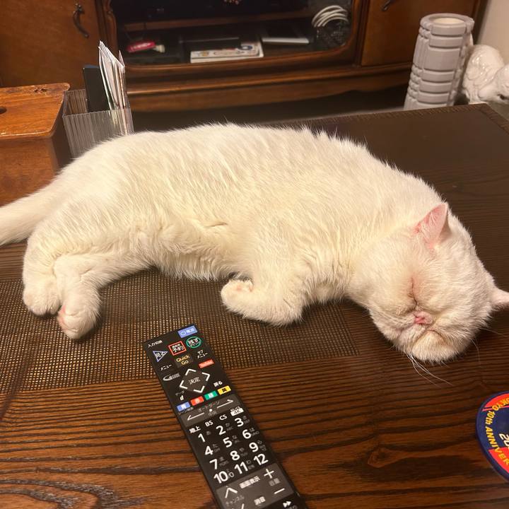 F47d7b9b 8ada 47a7 82b8 d818dcc0a857 1689250781241