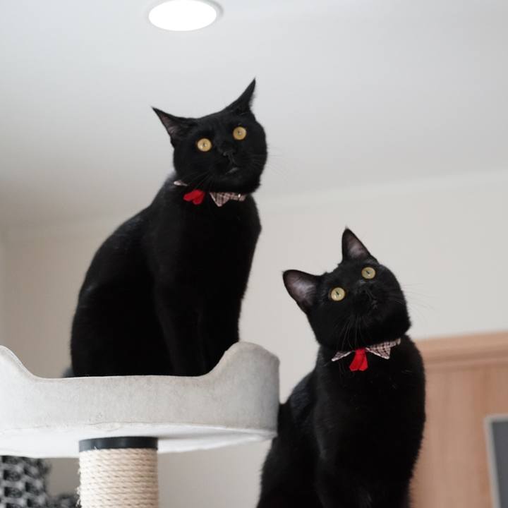 F47d8f6f ad6b 4ef9 9b01 dfd714dd8e39 1526787423083