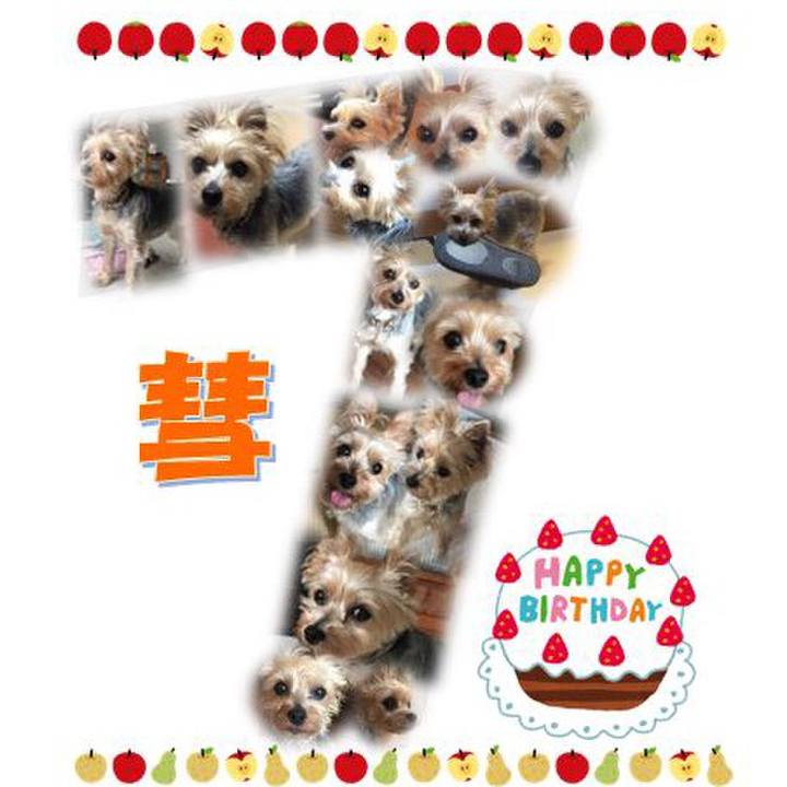 F47d9d4e eed4 4ddf 9169 1c4bac321ec2 1519088074909