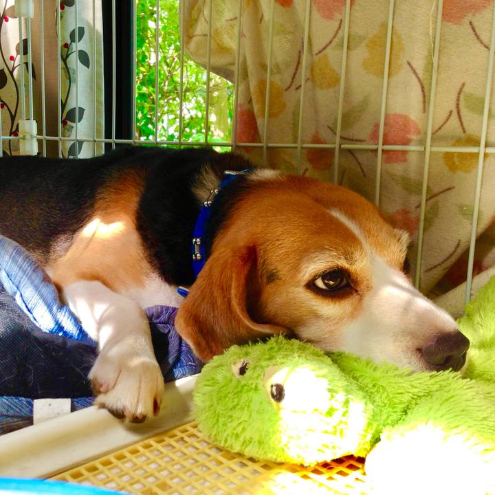 F47deb89 12a4 49da 8440 618ec3abb962 1754122413556