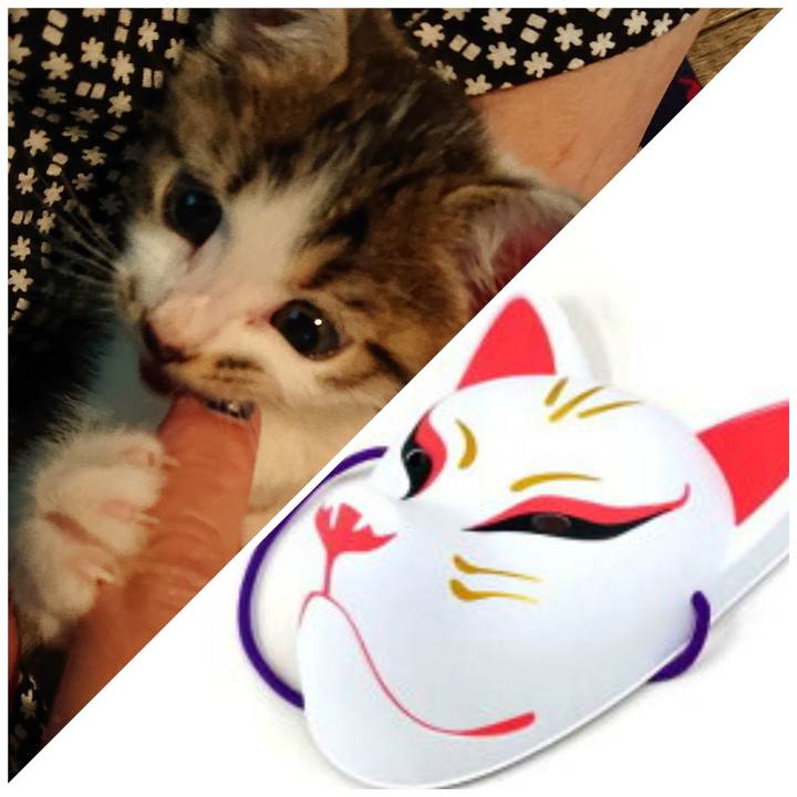 F47dfa28 bea8 45c5 8736 ab4fd4556982 1538750808068