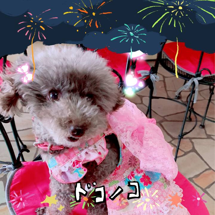 F47e01f1 436b 45ba 91e9 3b00070d60d6 1723424387118