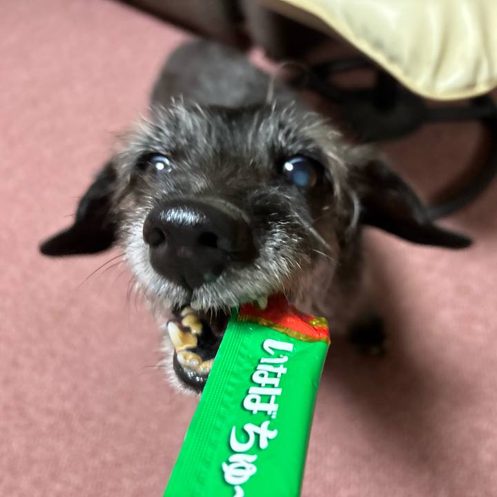 F47e1b54 ac36 4c6c b97a 3e7466ff424d 1754349488788