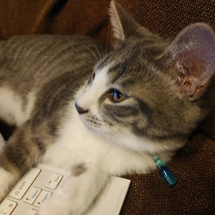 F47e2d4a c3a2 4904 b499 40f253edb433 1566831340357