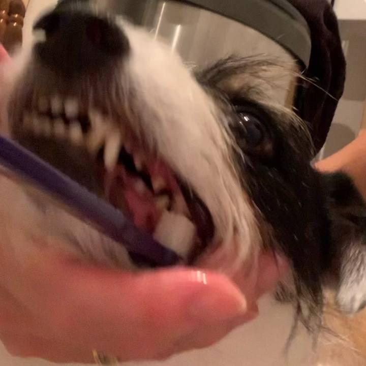 F47e3ae3 6d07 4cd0 bce2 278b14b49706 1628773645443