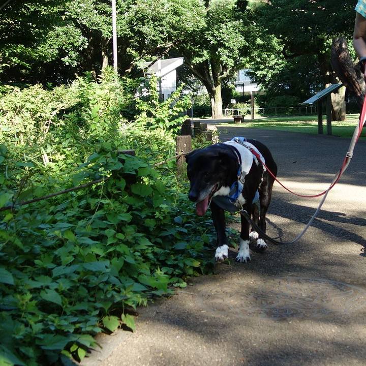 F47e3b7a 0fe7 4504 9f54 4d4c30a71c13 1752968445828