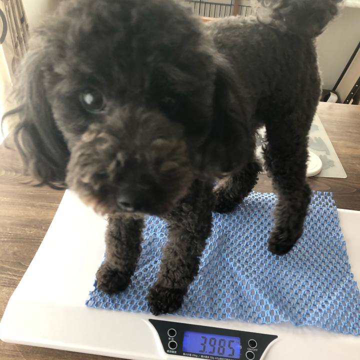 F47ee7ca 55f3 4905 87ce f95e0eeb34fa 1594961455186