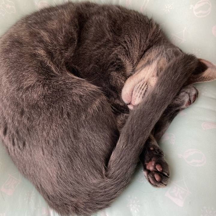 F47eea19 9177 445d b9ee 82e5613be25b 1628996350184