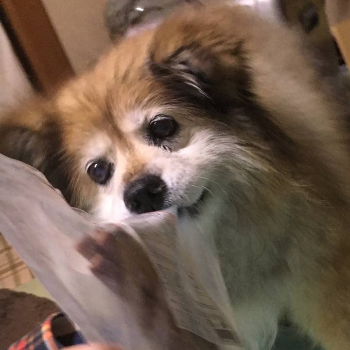 F47efe7d 5258 4bb9 9361 0e7939d7b2cd 1569543098904