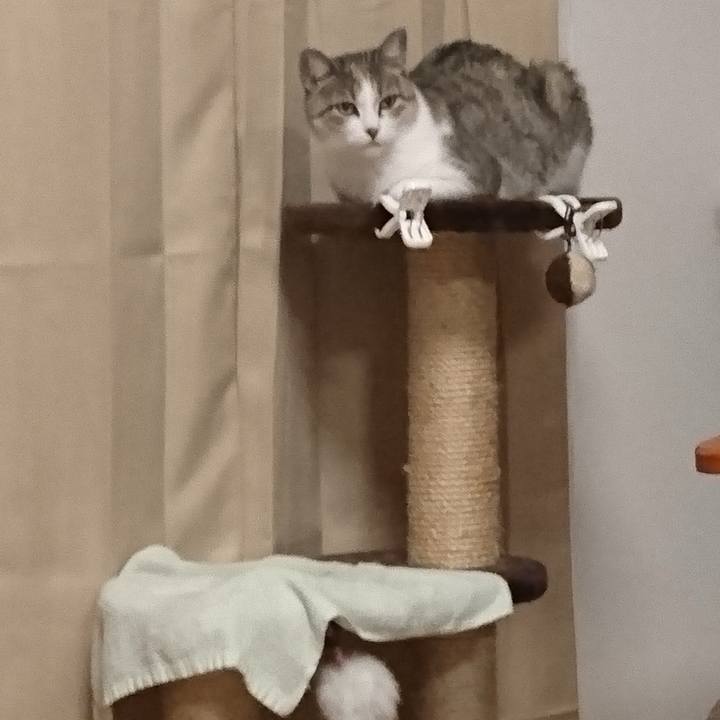 F47f284b 55fc 4e03 849b 7184235e4b97 1771370222839