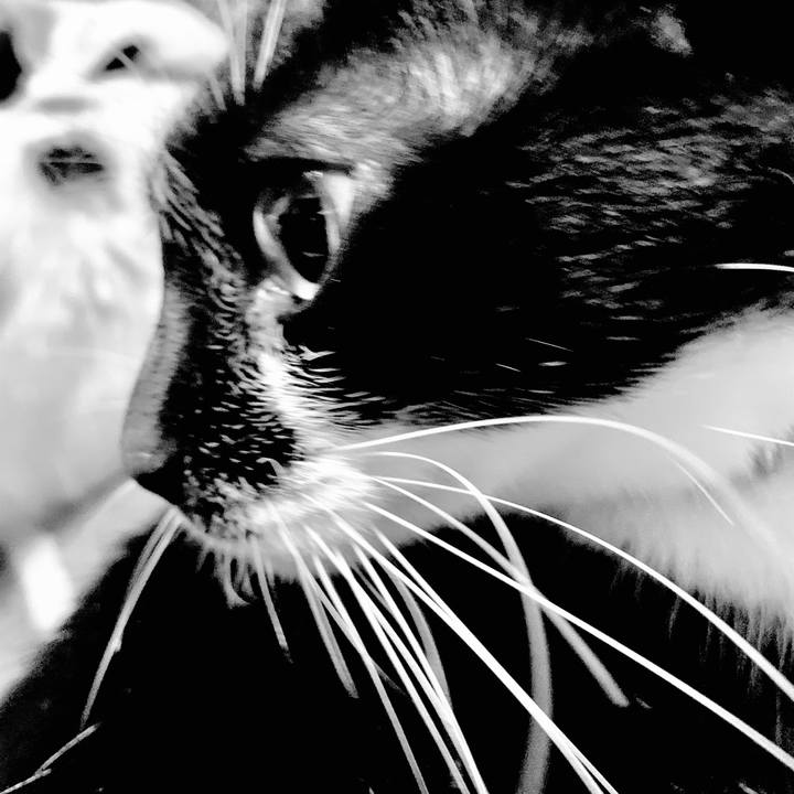 F47f3fd9 ea5c 4263 b528 49f31630224b 1548026339855