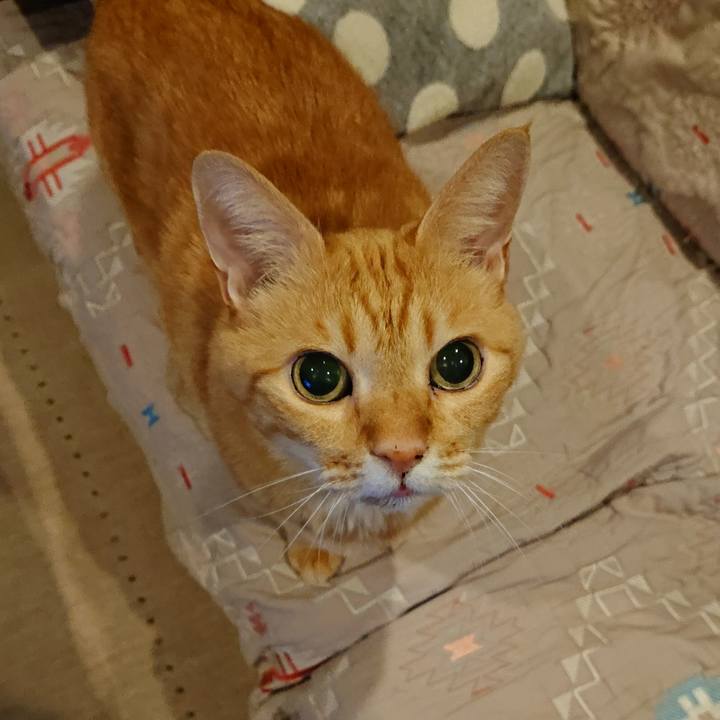 F47f7289 0ca5 497d a946 61b47fc2a0b8 1607515360817