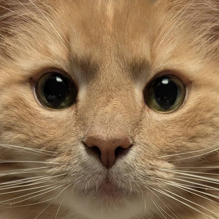 F47f9152 0459 4e12 bbac 9f62ebf166bc 1773414927239