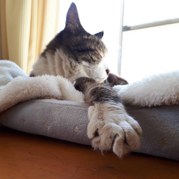 F47fd468 140b 44ba abbe bc7cba218492 1643980258800