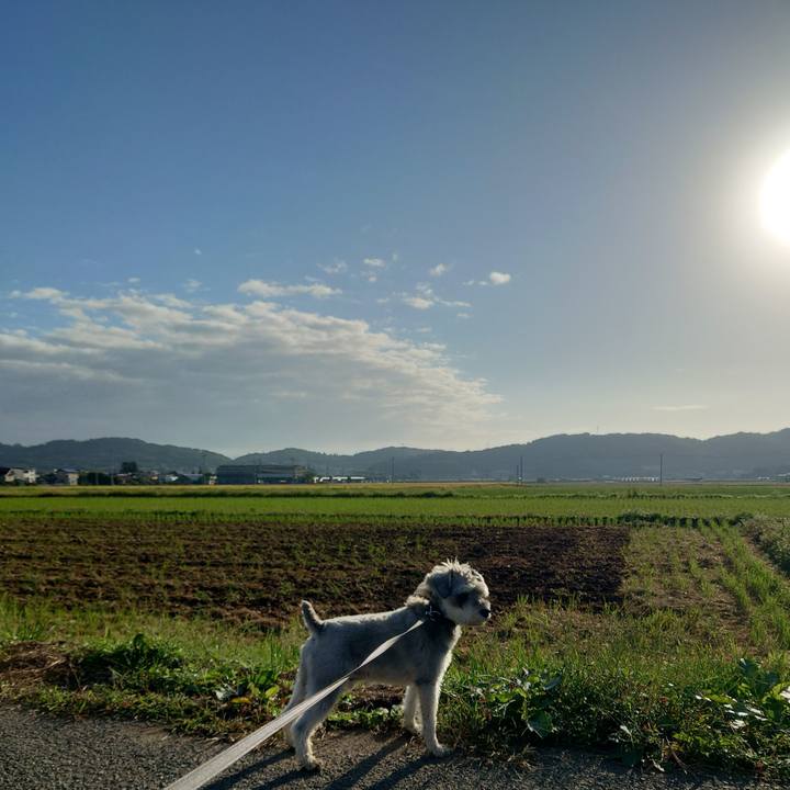 F47fe00a 8df2 4ee6 b40f c750d3a1f819 1760089133453