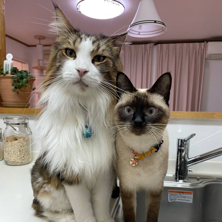 F4801ff6 8bed 4bf9 b901 75c7fe262932 1725740414740