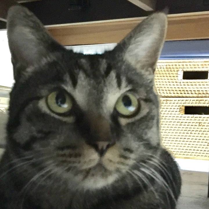 F4803579 eb5d 4ac9 b299 a3f1b510333f 1552472141242