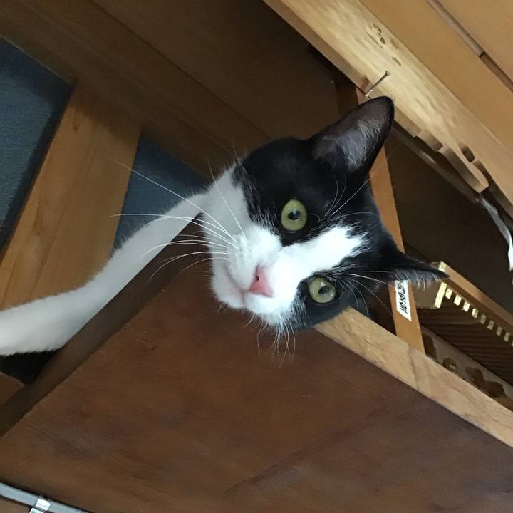 F4805d1e a224 4eef 8a79 e5c1389b8b31 1718352446884