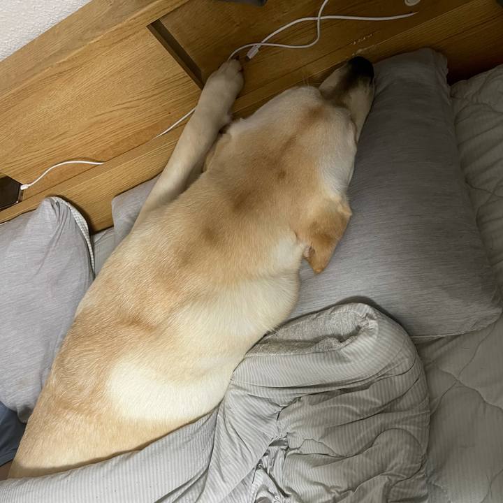 F48071e8 230e 4522 8e1d c16e05891c3f 1631920626385