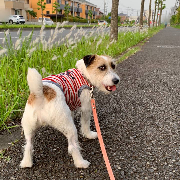 F480b670 cc41 47ed a3bc 5636f091f137 1684407649849