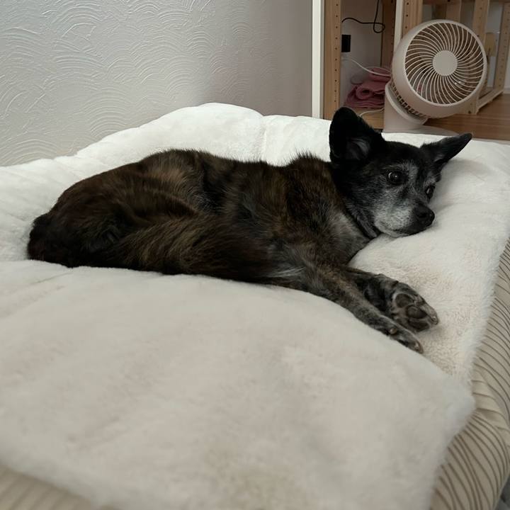 F480dea3 2cbf 47a5 a5f9 edb0051e59d3 1734056080911