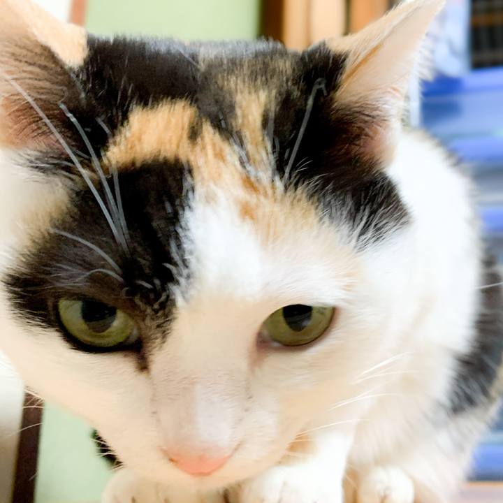 F480e0e4 5f80 47a1 ade3 830a9ff86f22 1583545445254