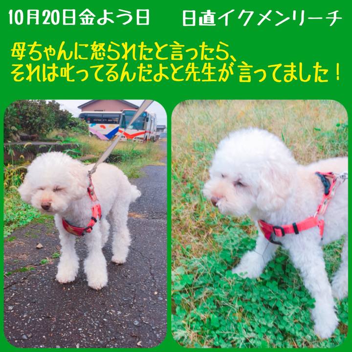 F4810264 784c 4d2e a5b1 6c19f2ec62e9 1508472131991