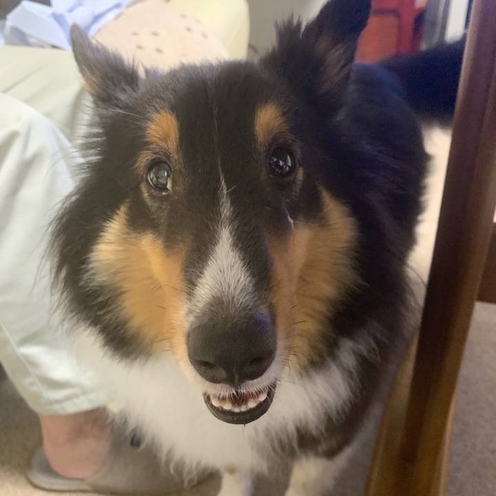 F48113e3 e81c 4c8e 9453 c1aa2760d13e 1566511686726