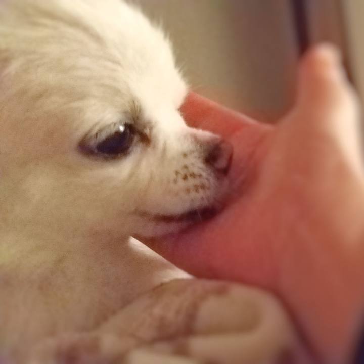 F4812abf c9e8 4e5a b9a0 3a92e3ea8a0c 1619697702122