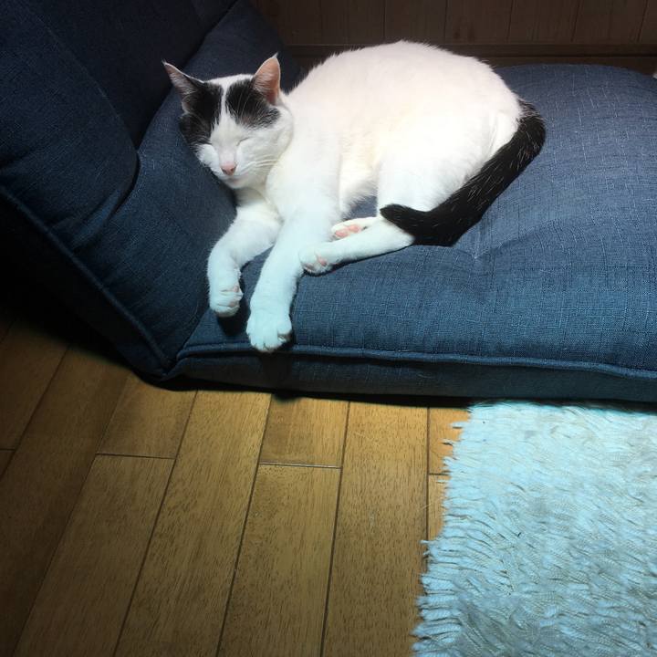 F4813949 7a6a 4ae1 9e5d 9a0baf033fc9 1527218630836