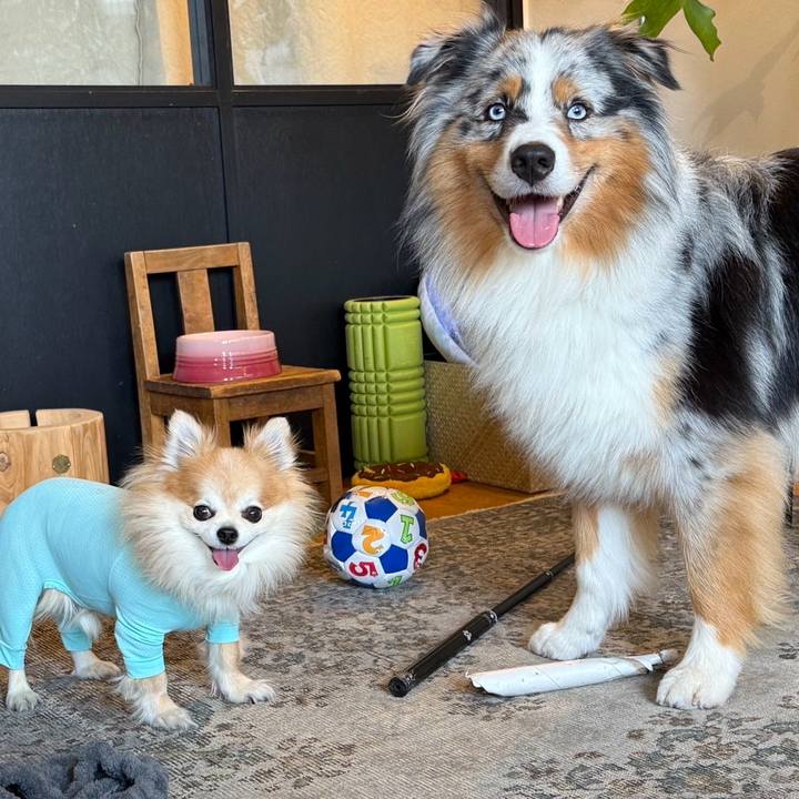 F481529e 8a98 4dd0 a32c 5a6f47d41792 1752275540562