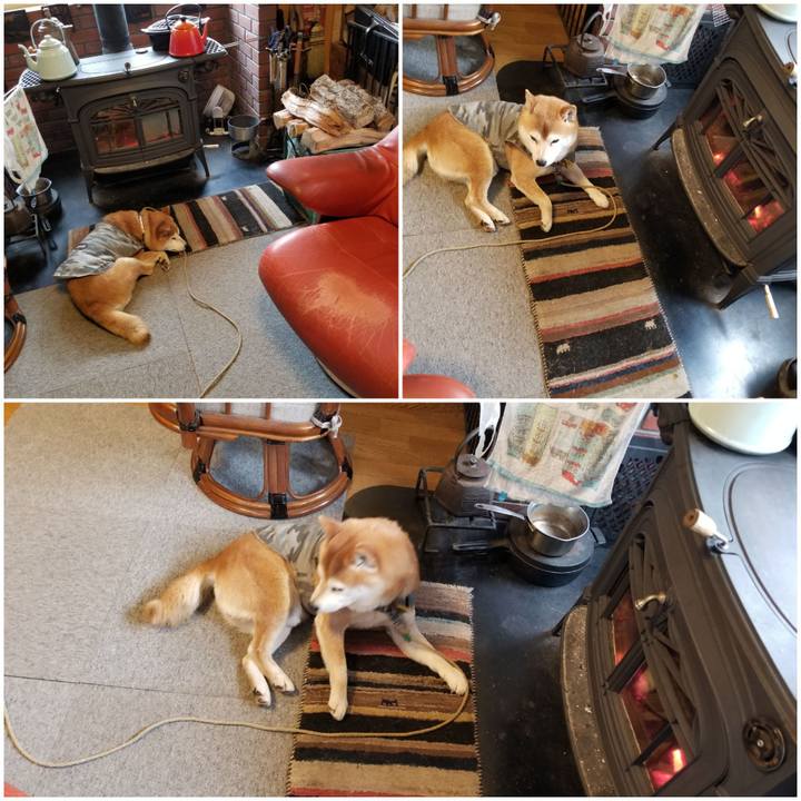 F4817efe c43f 4c68 81ef 8c7ef24f32ff 1615679322865