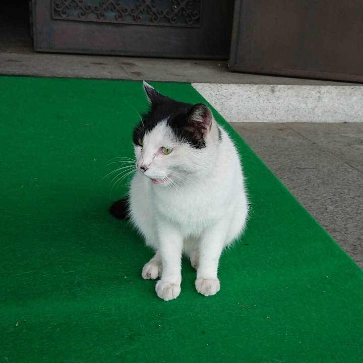 F481b1b2 e29e 4a67 87d2 bbf6fc190ae2 1590998077678