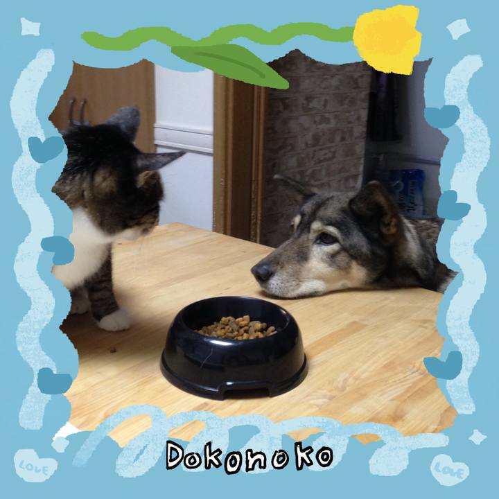 F481b4e5 772b 4e69 8c83 fad25d873e61 1772072384429