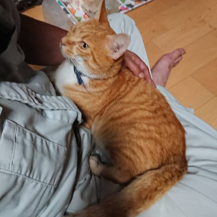 F481c55e 4806 492c b3a3 5cdcd01847a1 1598865306524