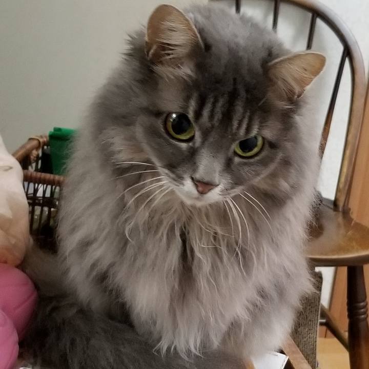 F481f09a 187f 4167 92c8 55d63917ab8c 1575032689720