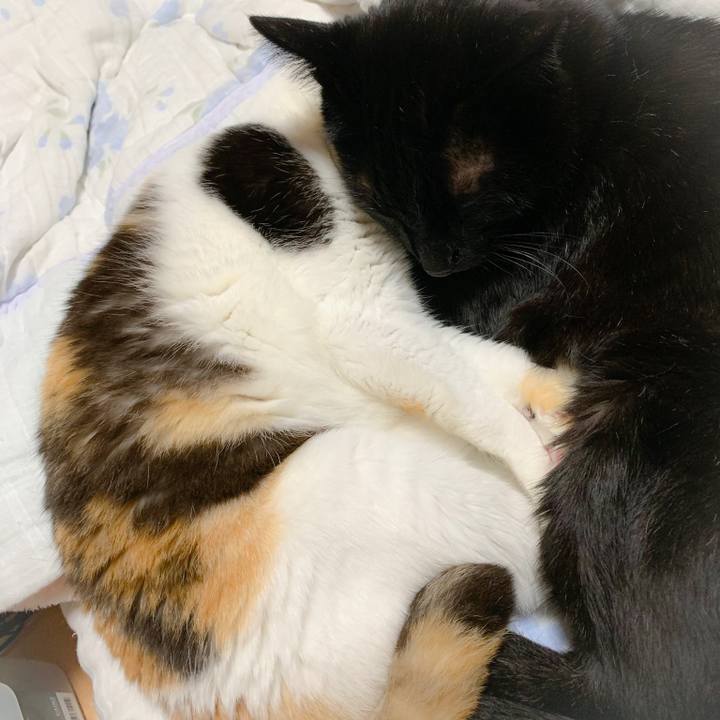 F481f3f1 b593 4335 a14a 21154eff8f92 1561595488859