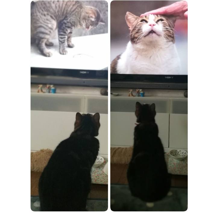 F4821557 9ee8 41cb 97a4 1b173a5b3680 1543731650878