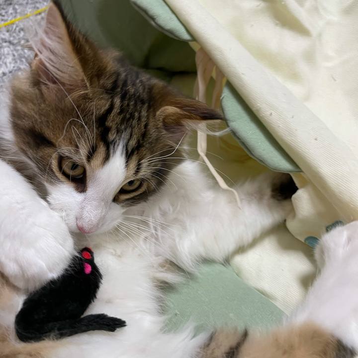 F4821d4a 531d 4969 b25f 5815e51d51d5 1634994191912