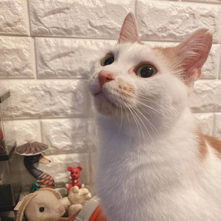 F4827307 c6bb 43c4 9d72 bdacd1e9e08e 1595098879061